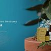 Amore Ayurveda logo - Similar company to Arclore