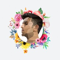 Ayush Wadhwa logo - Similar company to Strix Collective
