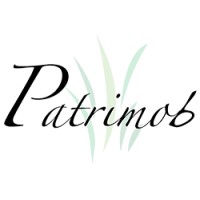 Patrimob SA logo - Similar company to Gepimob Sa