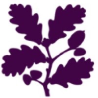 Zylenix Partners logo - Similar company to Blastain Power Washing