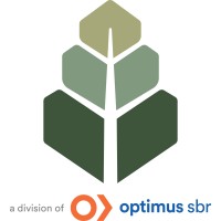 Acceleration Strategy Inc logo - Similar company to Brisk Languages