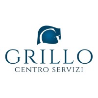 Centro Grillo Servizi Srl logo - Similar company to Studio Greco - Vibo Valentia