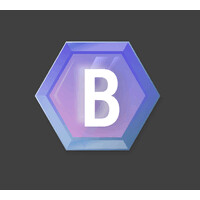 Boring Holdings logo - Similar company to Layer One