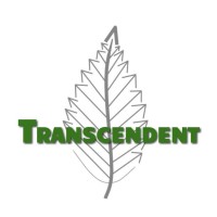 Transcendent Treecare