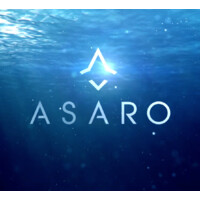Asaro logo - Similar company to Loyalty Foundation