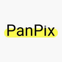 PanPix Agency logo - Similar company to Groples Solutions Private Limited
