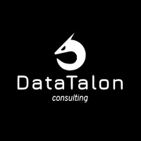 DataTalon logo - Similar company to Blend: Data Analysts & Business Strategists