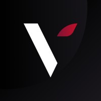 Vaden logo - Similar company to Flutterando