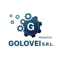 GOLOVEI S.R.L. logo - Similar company to Fmb - Engineering Innovation For Enterprise Srl
