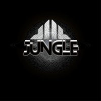 Jungle Agency logo - Similar company to Cosmic Technology Solutions