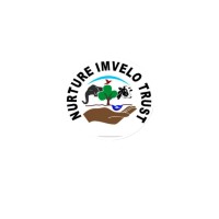 Nurture Imvelo Trust logo - Similar company to Precious Dreams Foundation