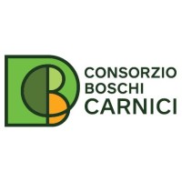 Consorzio Boschi Carnici logo - Similar company to Pigna Envelopes Spa