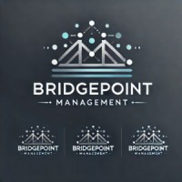 BridgePoint Management logo - Similar company to Lamatu