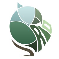 Reforestation Initiative Organisation (RIO) logo - Similar company to Reforestation