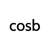 cosb.live logo - Similar company to Unlock Velocity