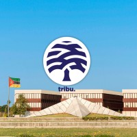 Tribu Visual logo - Similar company to Agência Calma Comunicação