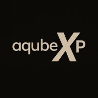 AQubeXP logo - Similar company to Realxtech
