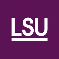 LSU - The National Council of Swedish Children and Youth Organisations logo - Similar company to Sveriges Elevkårer