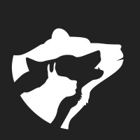 Hnutí DUHA Šelmy logo - Similar company to Hnutí Duha
