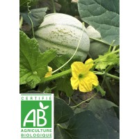 Ferme Larqué - Légumes Bios logo - Similar company to La Ferme Gourmande