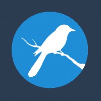 Magpie Health Analytics logo - Similar company to Haca -  Health And Care Analytics Conference
