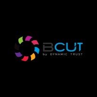 Dynamic Trust | BCUT logo - Similar company to Nunes E Pacheco