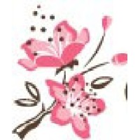 Cherry Blossom Consulting