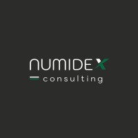 NUMIDEX Consulting logo - Similar company to Numidex