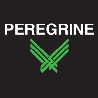 Peregrine X logo - Similar company to Spik Szma