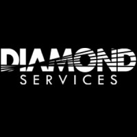 DIAMOND SERVICES Ltd. Int. logo - Similar company to תכשיטי יהלומים Rothem Collection - ארז רותם