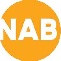 NAB Bliksembeveiliging BV logo - Similar company to Lps Engineering