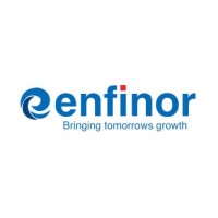Enfinor Software logo - Similar company to Sensor Scientific Inc.
