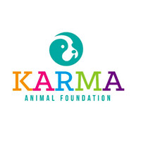 Karma Animal Foundation logo - Similar company to Karma Creation