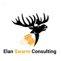 ELAN SWARM CONSULTING logo - Similar company to Be-Cause