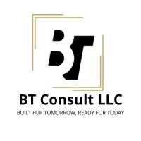 BT Consult LLC logo - Similar company to Nexusair