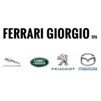 Ferrari Giorgio spa logo - Similar company to Pelloni Auto S.P.A.