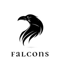 Falcons Beyond Imagination logo - Similar company to Tapirsoft