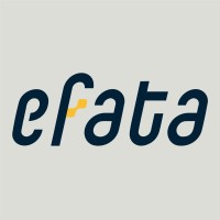 Efata Solution Consultant logo - Similar company to Dritive Advisory