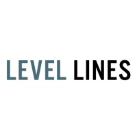 Level Lines logo - Similar company to Saint Studios