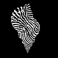 Future Ancestors Program logo - Similar company to Pasifika Impact