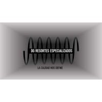 DG Resortes Especializados logo - Similar company to Engloba Food Solutions
