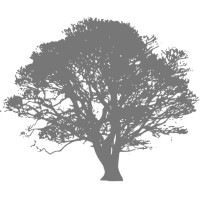 Aesop Partners logo - Similar company to Solvent+