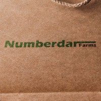 Numberdar Farms logo - Similar company to Web Developer And Freelancer
