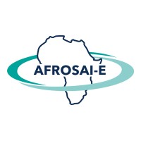 AFROSAI-E logo - Similar company to Pasai