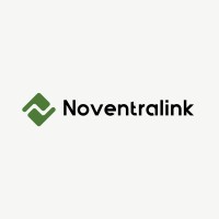 Noventralink logo - Similar company to Ar Info Solution