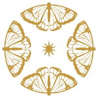 SARSO® logo - Similar company to Sanjar Creation