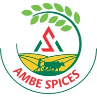 Ambe spices logo - Similar company to Narayani Spices
