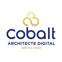 COBALT Informatique logo - Similar company to Translool