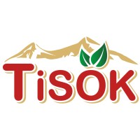 TISOK LLC logo - Similar company to Dracoding