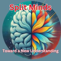 Split Minds: Toward a New Understanding logo - Similar company to Expitality